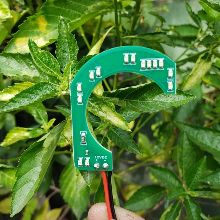 VÒNG LED  SMARTKEY CHỮ C CHO Vario, Ab, Vision..