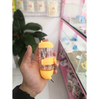 Đế bình nước + Bình nước