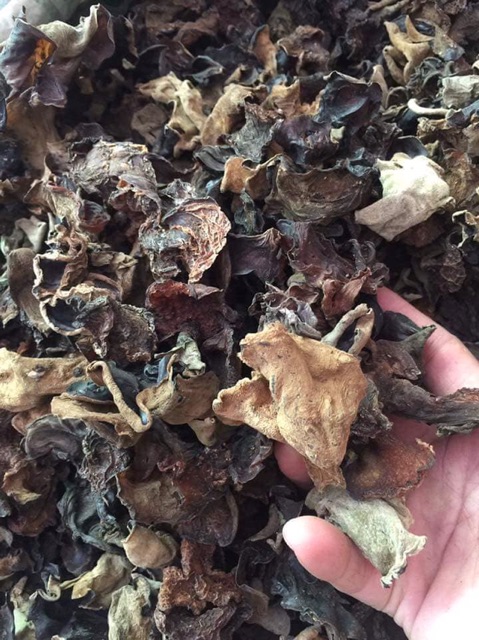 Mộc nhĩ rừng Sa Pa loại ngon 200g | BigBuy360 - bigbuy360.vn