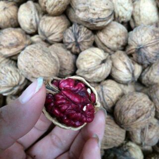 Óc chó đỏ Mỹ 200g - 500g