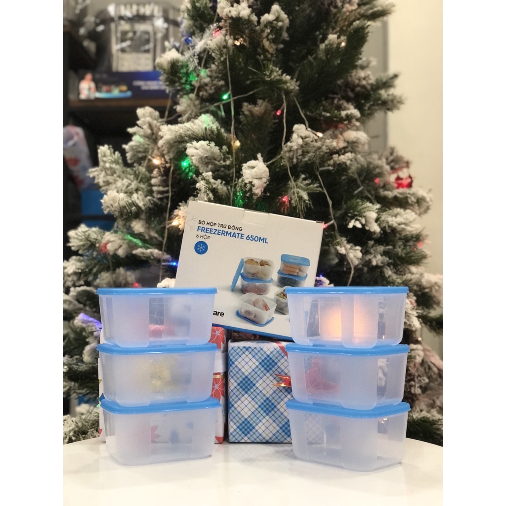 Bộ Hộp Trữ Đông Tupperware Freezermate 650ml  - nhựa nguyên sinh có tách set. Mẫu Mới Basic Set 6