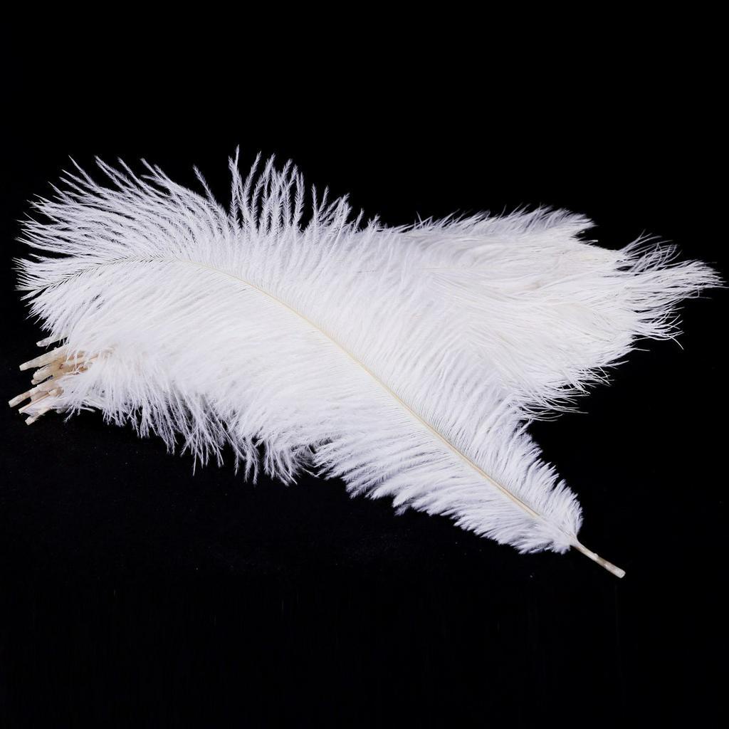 Set 20 Lông Đà Điểu Trắng Tự Nhiên 25-30cm Dùng Để Trang Trí