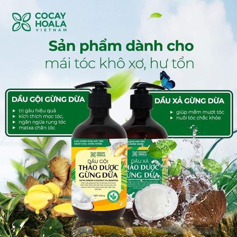 Dầu gội thảo dược gừng dừa hữu cơ Cocayhoala dành cho mẹ bầu thiên nhiên an toàn lành tính dung tích 440g/chai