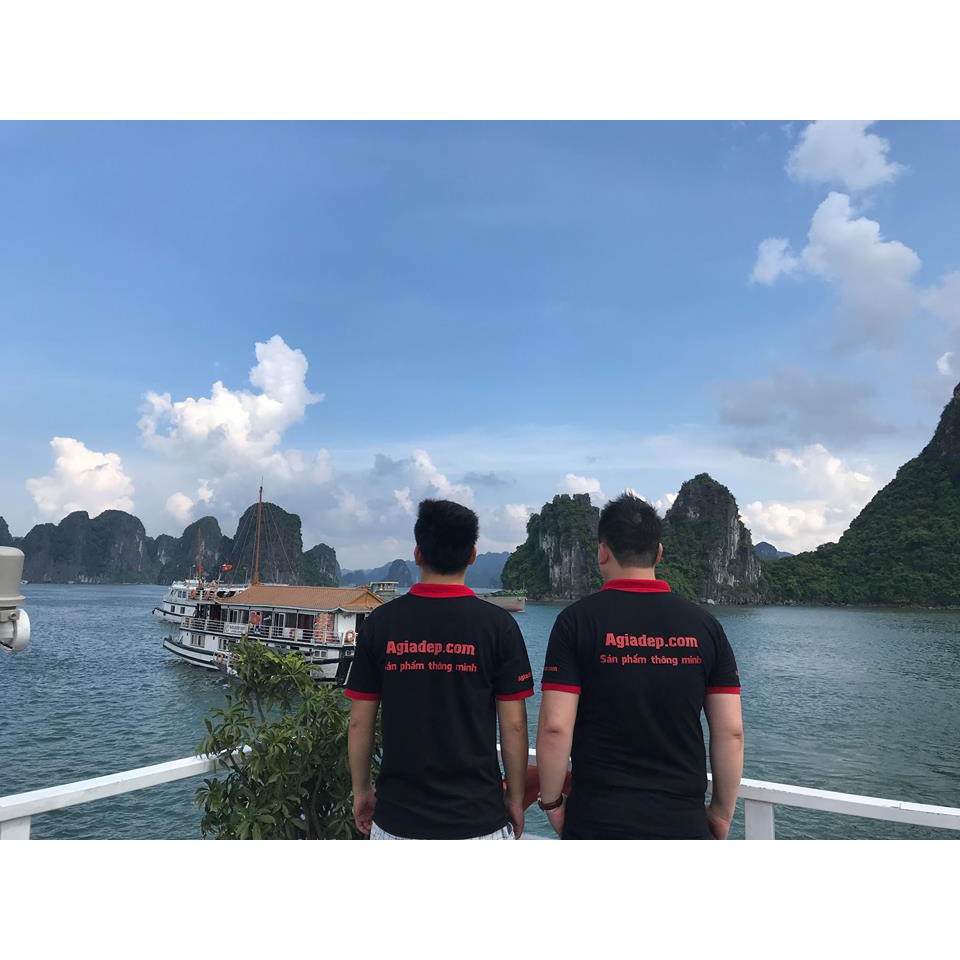 Áo phông Lacoste Agiadep (chất mát cotton 100% tốt nhất hiện nay (giá gốc 150k có trợ giá nên rẻ)