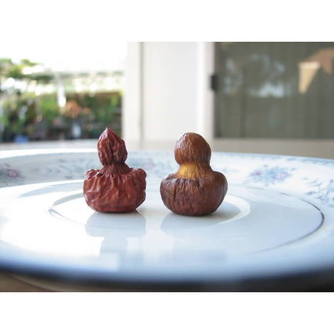 Táo tàu hồ lô