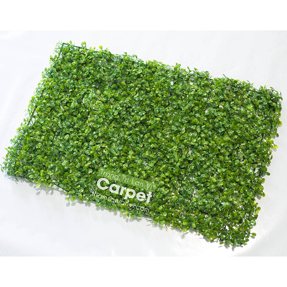 Cỏ nhân tạo treo tường, tấm cỏ nhựa cải xoang trang trí không gian nhà cửa kích thước 40cm x 60cm