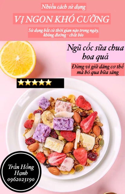 [Mã 267FMCGSALE giảm 8% đơn 500K] Ngũ cốc sữa chua không đường YOGURT FRUIT OATMEAL gói 500g - Đài Loan túi zip tiện lợi | BigBuy360 - bigbuy360.vn