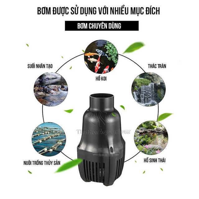 Máy bơm tạt Periha PG20 PG25 PG35 PG40 PG50 PG60