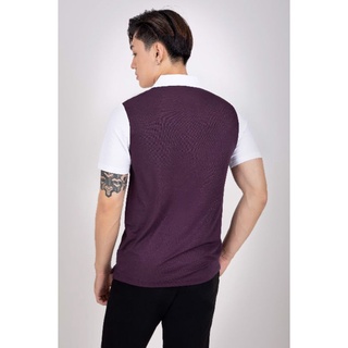 Áo polo sọc ngang