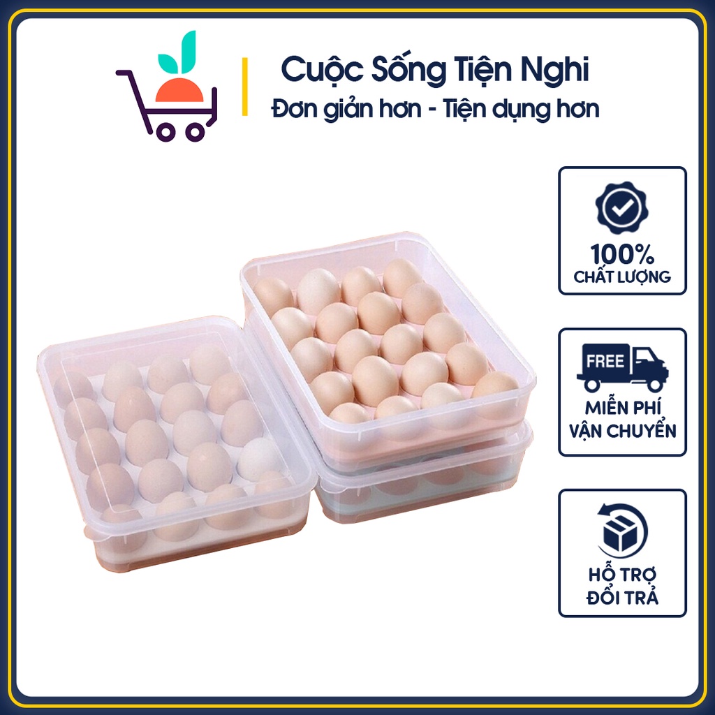 Khay đựng trứng 24 quả