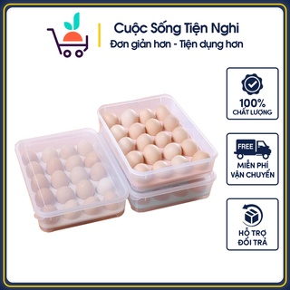 Khay đựng trứng 24 quả