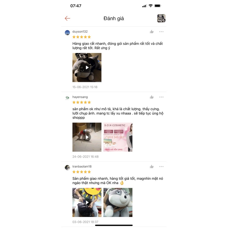 Gấu Bông Chó Husky Size 100Cm Có Áo Hàng Cao Cấp Chất Liệu Vải Nhung Co Dãn 4 Chiều Xuất Dư Siêu Thị