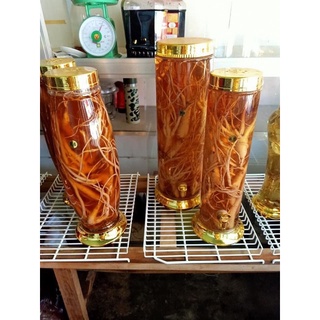 Đẳng sâm , sâm dây ngọc linh 1kg/ set 5-9 củ/kg