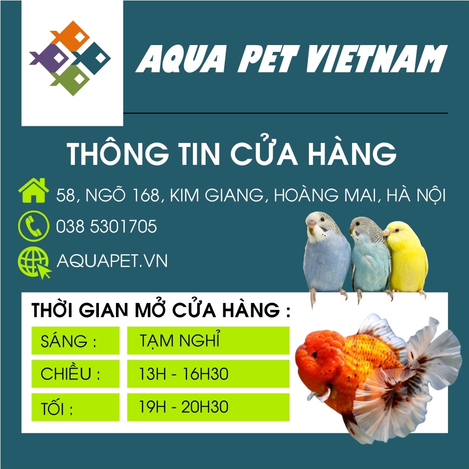 Đai giữ ống nước phi 20,25,32,40