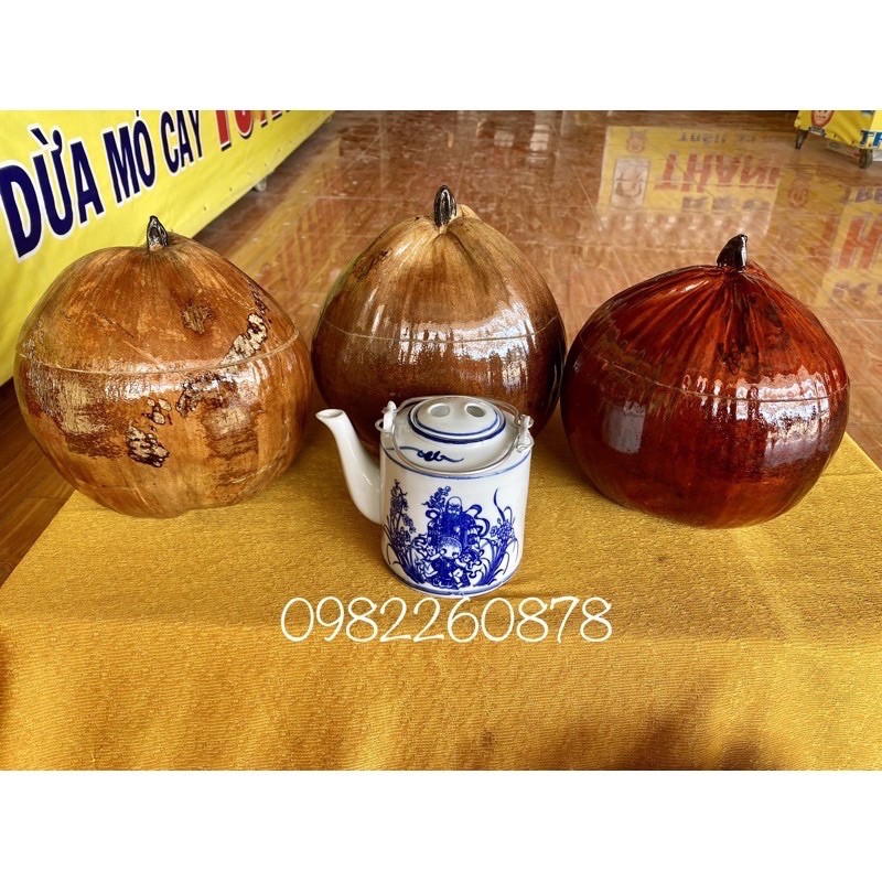 Vỏ giữ ấm bình trà trái dừa +Tặng ấm tích trà nhiều Size | BigBuy360 - bigbuy360.vn