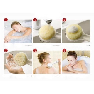 Cây Bông Tắm Muji