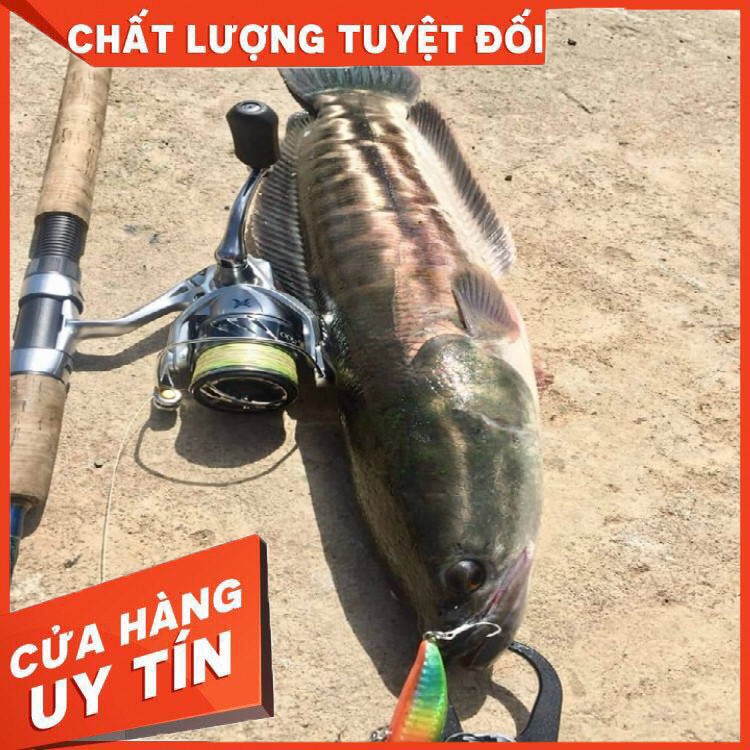 Mồi câu Sasuke chuyên lure chẽm, vược