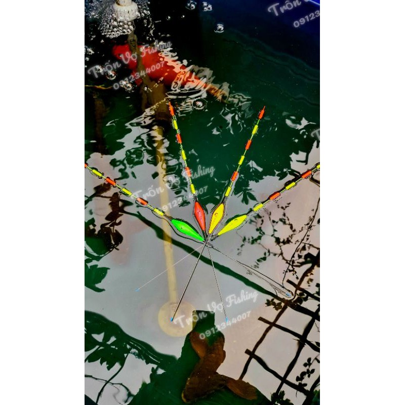 Phao câu đài săn trắm đen, chép củ, tăm to - Khôi Fishing