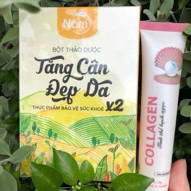 tăng cân nấm phiên bản X2 (tặng kèm collagen) | BigBuy360 - bigbuy360.vn