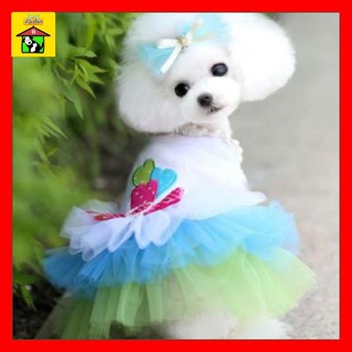🌸 Áo Đầm Váy Áo Thời Trang Cho Chó Mèo Thú Cưng Siêu Cưng (Style Korea)