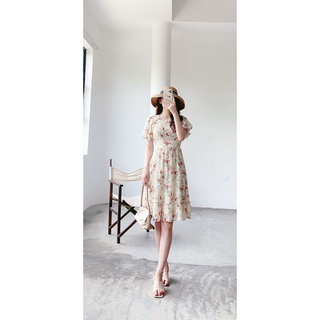 Váy cổ tròn 6 cúc