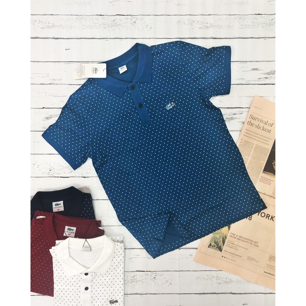 [ảnh thật] ÁO THUN NAM CÁ SẤU CHẤM BI- XH008 | BigBuy360 - bigbuy360.vn