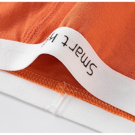 Set 5 QuầN LóT Boxer Cotton MàU KẹO Cho Bé Trai (3-12 TuổI)