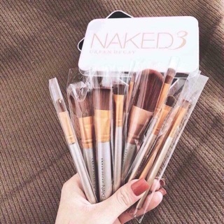 Set cọ Naked3