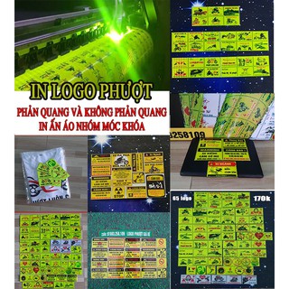 logo phượt phản quang