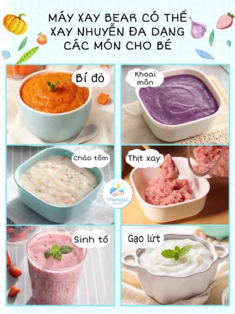 Máy xay đa năng Bear 0,3l cao cấp (xay được lượng ít cho bé ăn dặm)