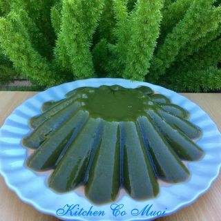 Hạt và cây giống sương sâm lông(tặng kèm giống sương sáo làm thạch đen)