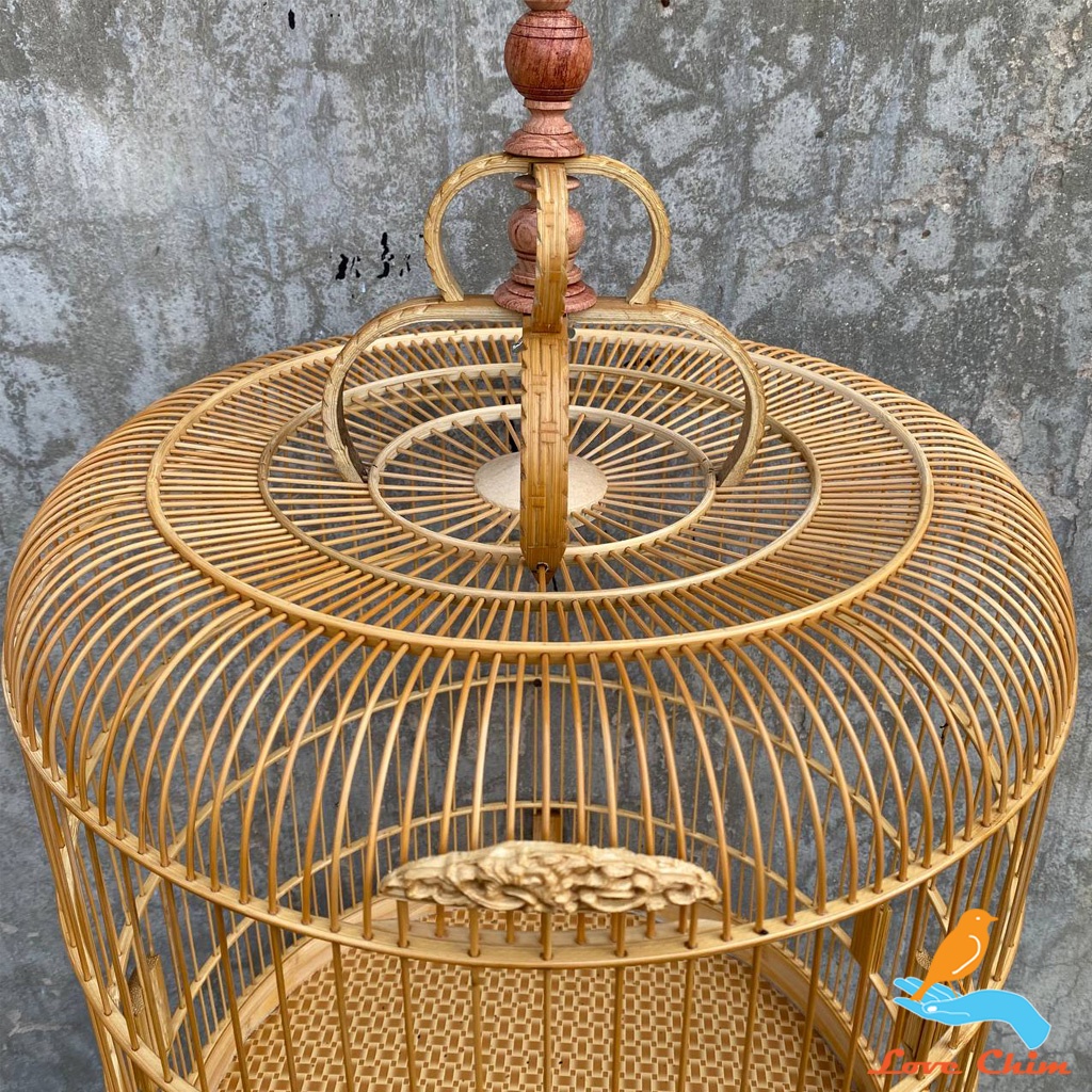 Lồng chim Chòe Lửa, Chòe Than, Chào Mào, Lồng Chòe Lửa - Chòe Than đẹp LOVECHIM