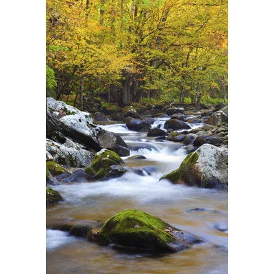 Tranh dán tường phong cảnh thác nước chảy êm đềm, thác mềm mại lấp lánh dưới ánh mặt trời