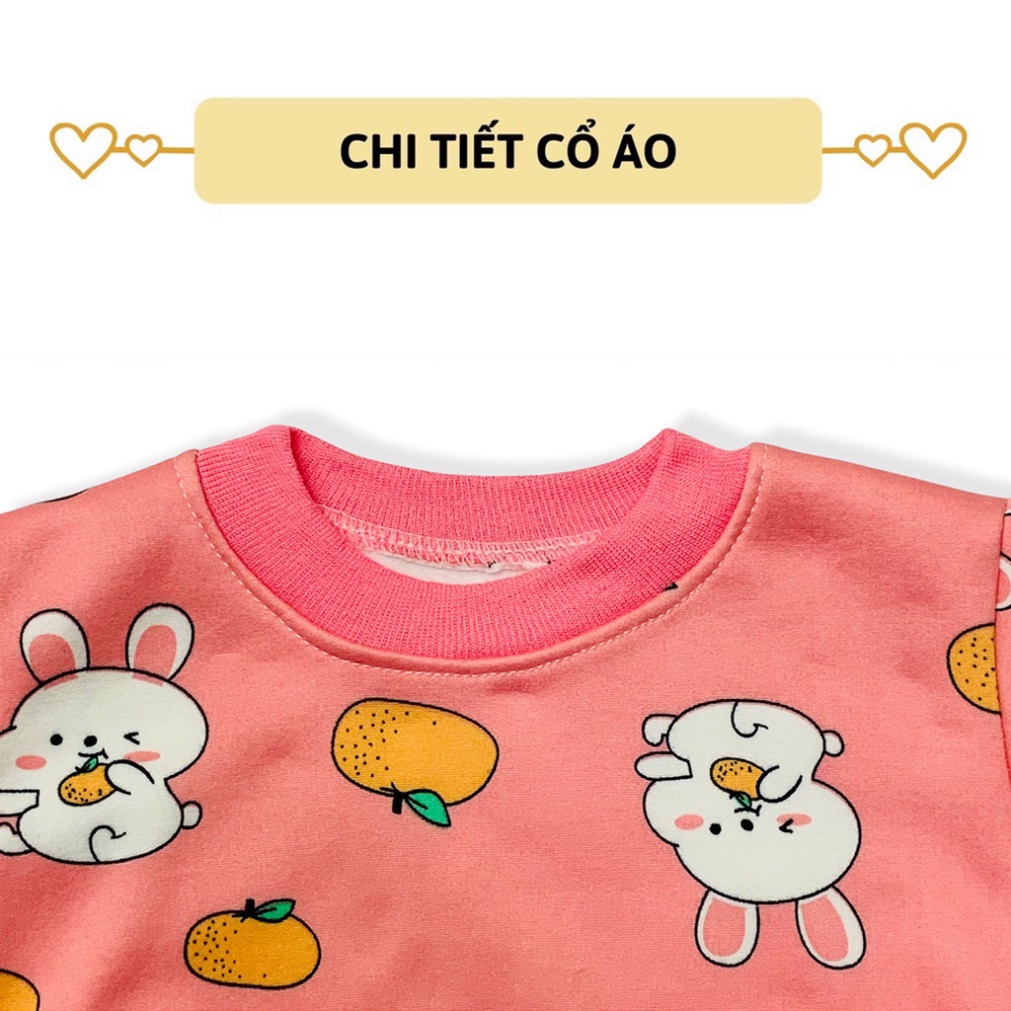 bộ nỉ cho bé trai bé gái LYBABY bộ nỉ bông cho bé mềm mịn họa tiết BDT06
