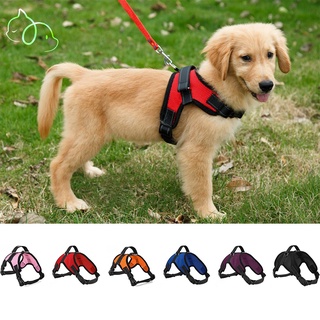Dây buộc chó cho chó lớn Nhỏ phản quang Dây buộc lưới thoáng khí Dây buộc chó Pitbull Pug Sản phẩm dành cho thú cưng Dây buộc cho thú cưng