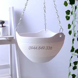 Combo chậu treo 6 màu 6 chậu