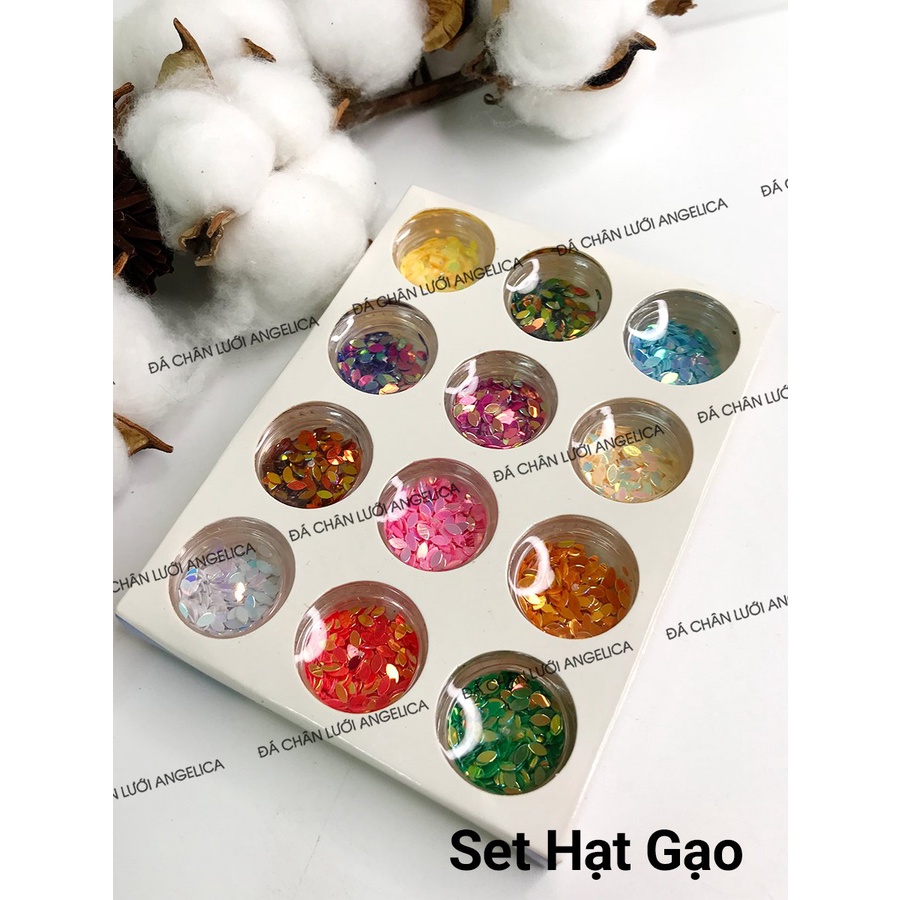 Set Nhũ Hạt Gạo Nail 12 Màu Trang Trí Móng ANGELICA SHG