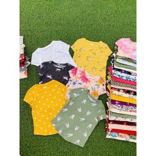 set 5 áo phông bé gái