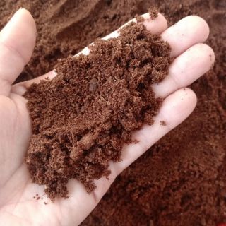 8k 1kg mụn dừa dùng để trồng cây !!!