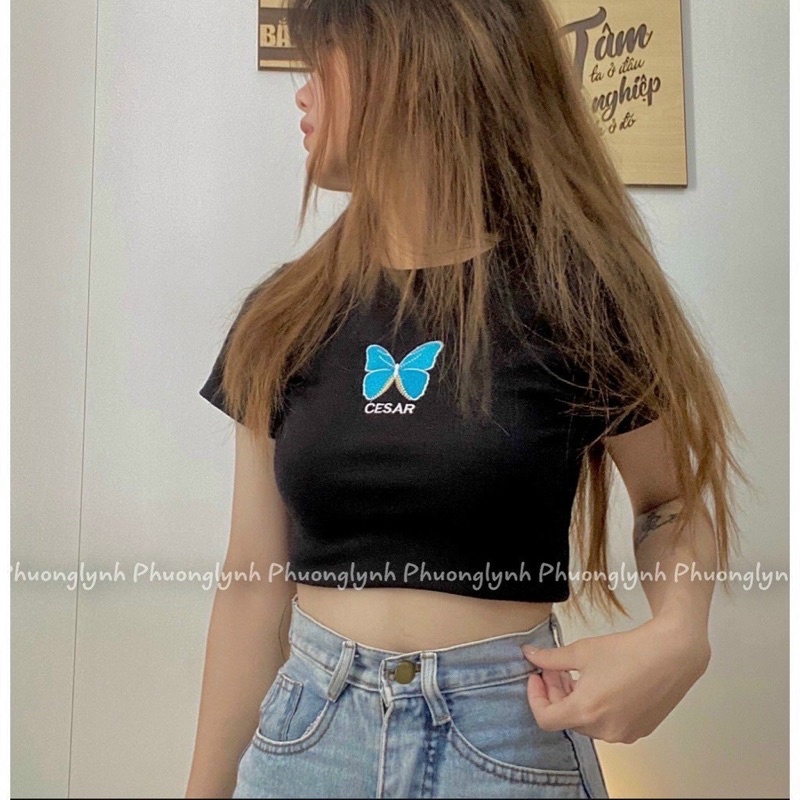 Áo Croptop Body Butterfly 🦋 Ảnh Thật