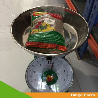 Đất nung Thái Popper 1 Lít (size L)