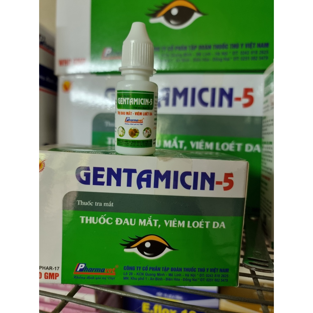 Dung dịch nhỏ mắt, mui Gentamycin 10ml