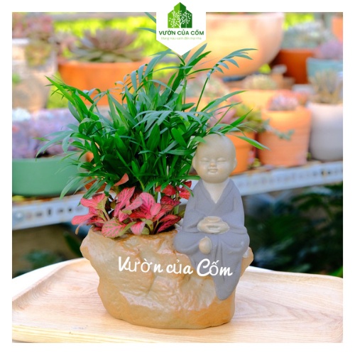 Chậu sứ trồng cây để bàn kèm tượng phật bình an , kíck thước 16 x 16 cm , hốc trồng cây 8 cm