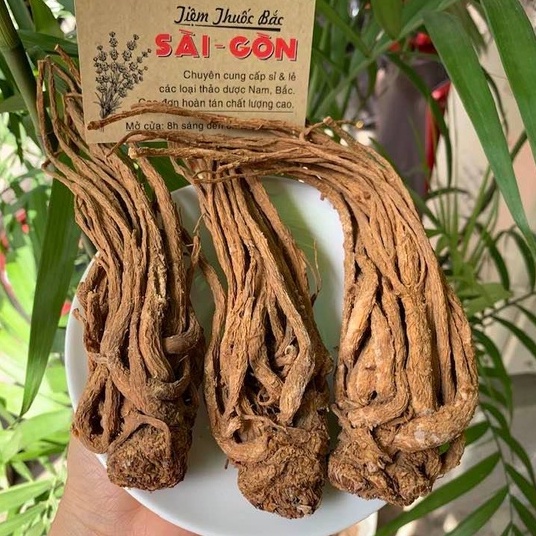 Sâm Đương Quy Củ 100gram - Sâm Râu (Hàng củ to đẹp, mới, thơm ngon) - Tiệm Thuốc Bắc Sài Gòn