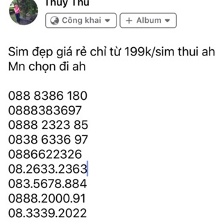 Sim số đẹp vina