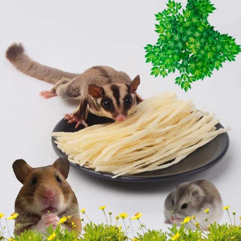 Cá sợi cho hamster, sóc bay, vẹt,....