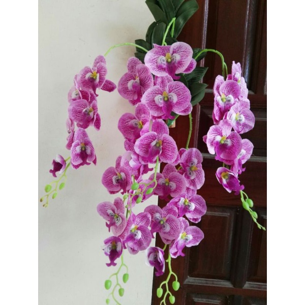 Giò Lan Hồ Điệp_Hoa treo tường trang trí nhà cửa