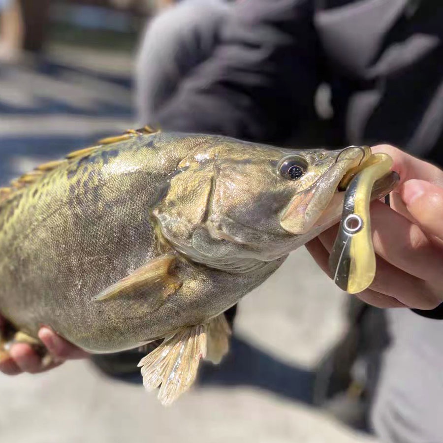 Mới Set 5 Mồi Câu Cá Nhân Tạo Mềm 100mm 6g