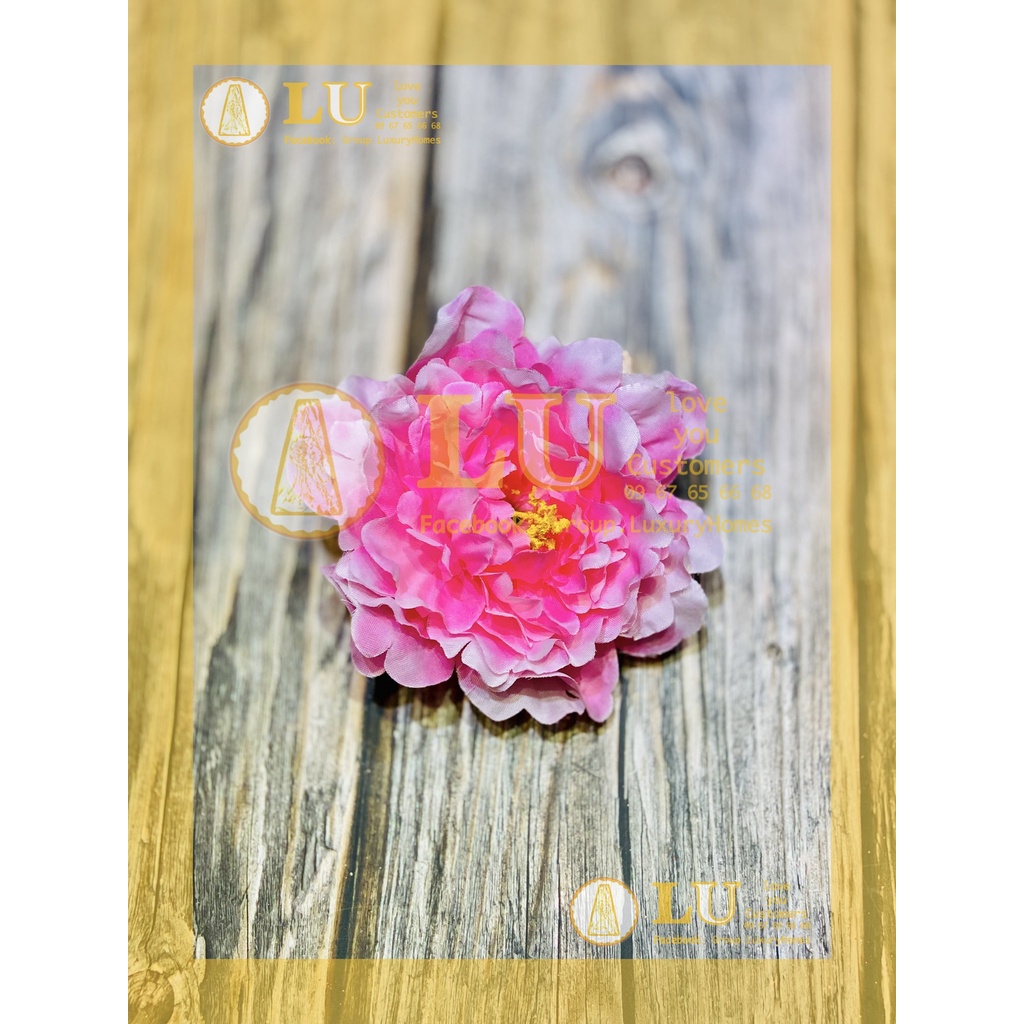 Đầu hoa mẫu đơn | LU
