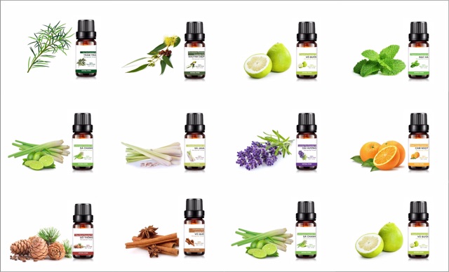 Tinh Dầu Thiên Nhiên 100% Nguyên Chất Nhập Khẩu Ấn Độ - Tinh dầu xông phòng  - Tinh dầu treo xe - đuổi muỗi